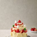 빛담은