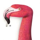 (주)독일보청기 이미지