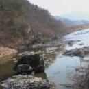 천년가요 이미지