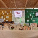 리틀파우스 | 충청 닥스훈트 모임 후기