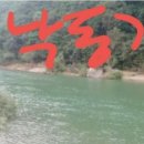 해피데이공인중개사사무소 이미지