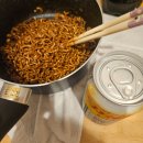 프린스 펫타운 | 도쿄 워홀 D + 300 ~ 305 (한국친구들이랑 놀자/네모필라 프리렌/아코스타/탄기유 촬영/해리포터 스튜디오)