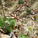 간판없는식당 이미지