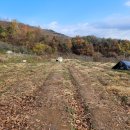 도촌공인중개사사무소 이미지