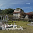 파인힐애견펜션 | 강릉 애견동반 독채 펜션 파인힐펜션! 몬드리안방 1박후기