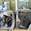 도래동물병원 이미지