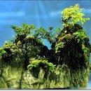 하늘재농원 이미지