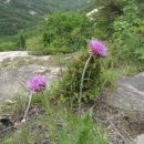 불광역7번출구 뒤 이미지