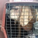 이성준동물병원 이미지