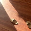 집 머무는 이미지