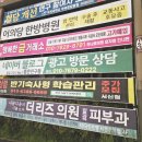 현수막 지정 게시대 | 전주 현수막 지정게시대 광고 기대 효과와 업체 선정 후기