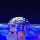 게이트조형물 | 2025 해운대 빛축제 부산 겨울 가볼만한곳 솔직 후기 ft. 기본 정보 주차