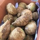 (주)테라팜 이미지