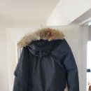 캐나다구스 / 칠리왁 / 미디움 이미지