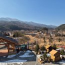 봉화서벽리마을 한국일보