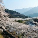 백혜경로당 이미지