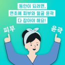 에스테티아세종소담 이미지