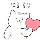 스테이 레브 이미지