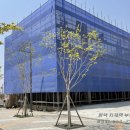 모산편의점 이미지