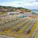 과일나라테마공원1 이미지