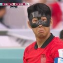 고고하개 이미지