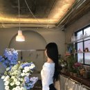 유어라인 이미지