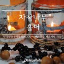 캔들나무순천