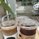 화정세탁소 | 화정 화과자 맛집 화정 양갱 화정 답례품 라떼맛집 도쿄디저트