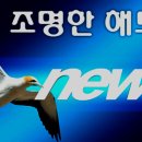 LA 정해정 작가, 아름다운 시화집 '꿈꾸는 바람개비' 이미지