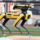 주식회사현대수리조트 이미지