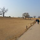 위례성대로 이미지