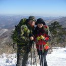 강원도 태백산 산행 이야기 글~ 이미지