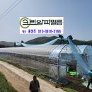 알파샤인