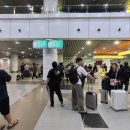 우연과 만남의 교감 | 코타키나발루반딧불투어후기 반딧불 프로보스키스원숭이 자연 교감