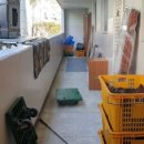 대신익스프레스 | 원주포장이사업체 믿고 맡긴 후기, 원주 대신익스프레스 만족 이용기