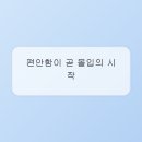 고려스터디