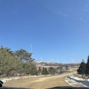 동양목장 | [대관령 여행] 양떼목장만 가시나요? 동양 최대 규모의 인생 샷 성지 '삼양라운드힐(삼양목장)'