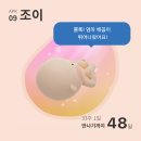 메이플커피 이미지