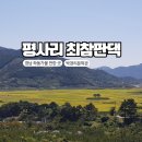이목동 396-2~이목동 404-1 | 대하소설 토지, 그리고 최참판댁 방문기