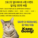 크로스핏 얼티메이트 이미지