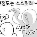 화산춘 이미지