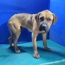 병부리경로당 이미지