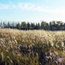 순천만장작 이미지