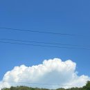 우일농장 이미지