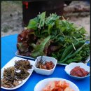 사과꽃 향기는 바람 이미지