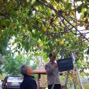 안해님농장 이미지