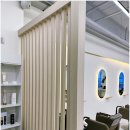 메이에르진 이미지