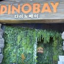 리나리빙 | 용인 | 다이노베이3 | 31개월 아이랑 다녀온 솔직 후기와 꿀팁들