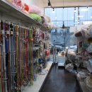 멍멍이 클럽 이미지