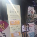 욜로식당 이미지